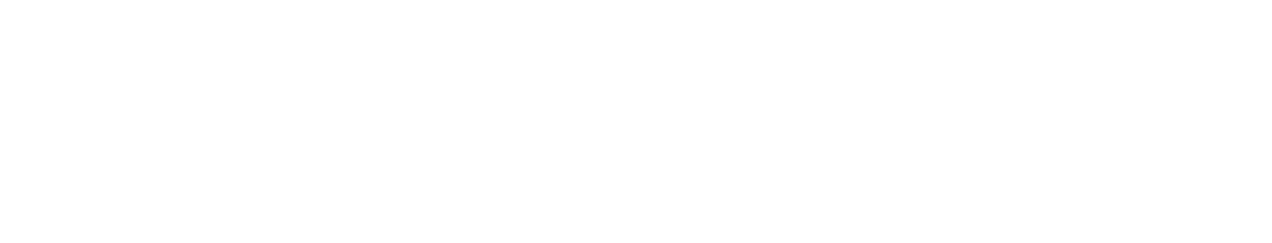 logo bijelic village header