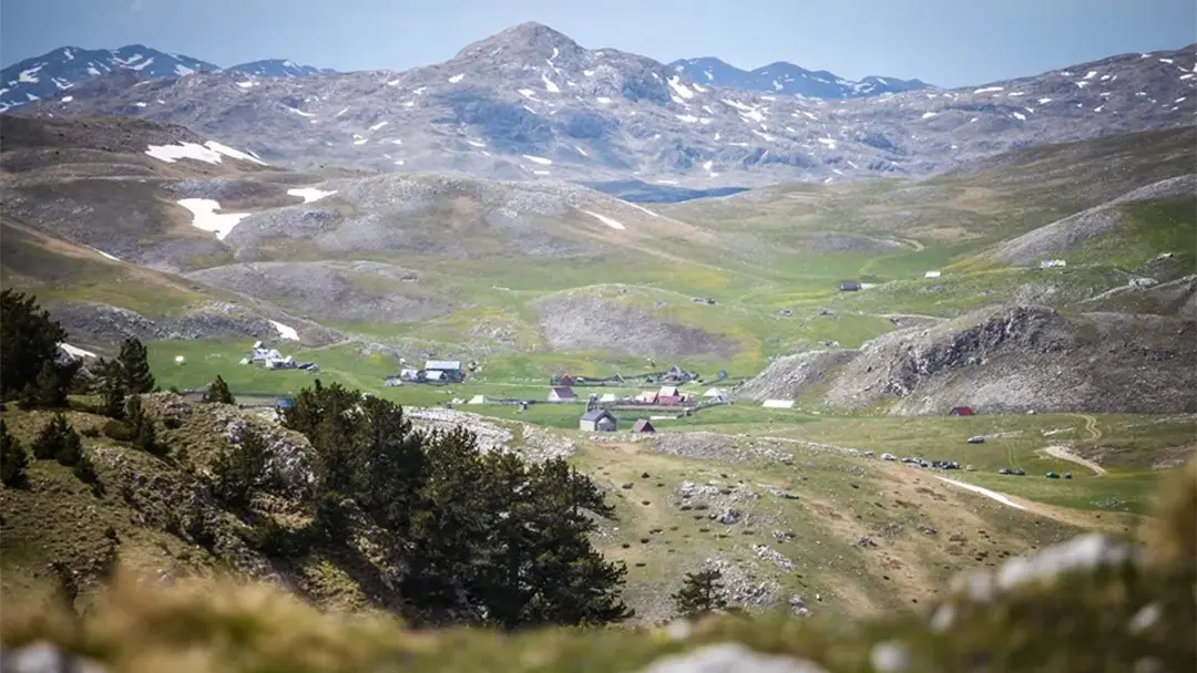 tura na planinu sinjajevinu (170€ po kvadu) (1)